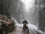 VALTELLINA - Alpe Colina - 055